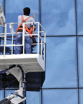 dışcephetemizliği