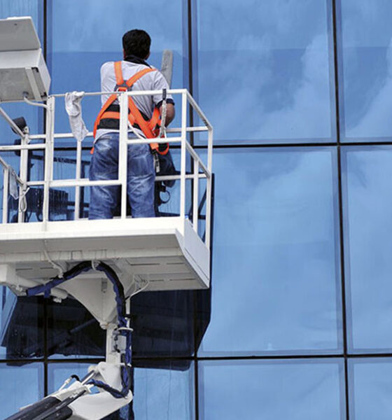 dışcephetemizliği